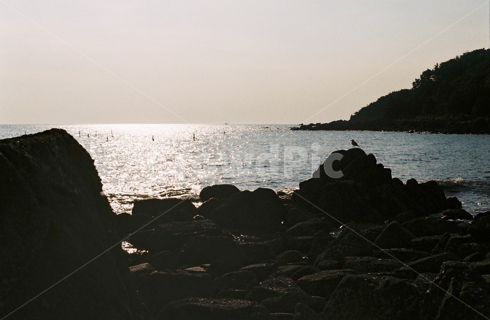 을왕리,바다,해수욕장,갈매기,바위,해변,인천,promontory,water,물,nature,자연,만,필름,film,자연,풍경,nature,landscape