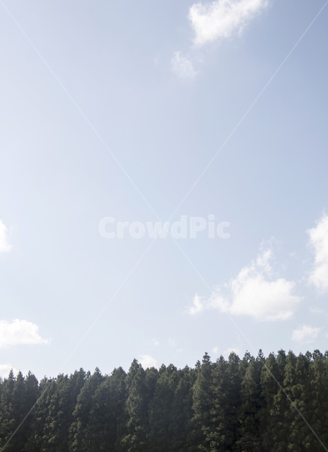 하늘,구름,풍경,경치,숲,nature,자연,tree,나무,plant,식물,outdoors,옥외,자연,풍경,nature,landscape,나무,trees,wood