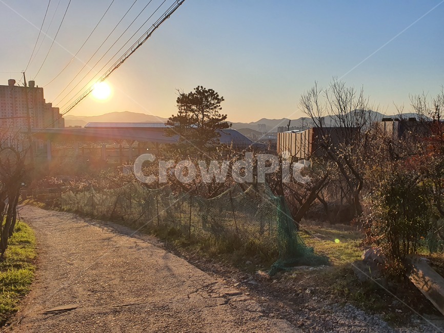 road,도로,자갈,흙길,dirtroad,시골길,시골,풍경