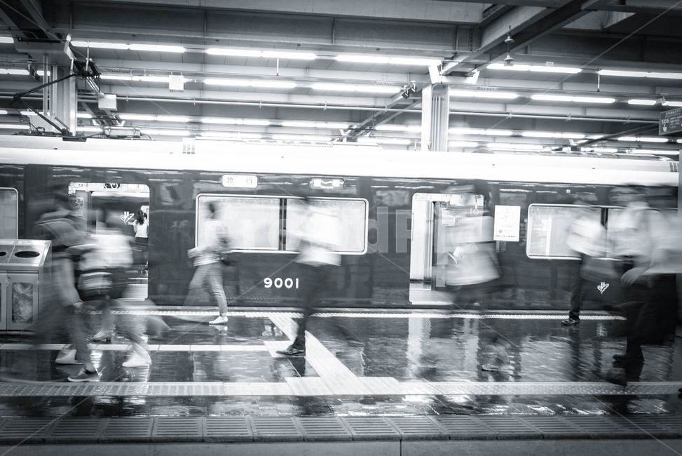기차역,train,기차,trainstation,교통,transportation,사람들,대중,군중,other people,crowd,흑백,모노톤,monochrome,black and white,교통,교통수단,traffic,transportation