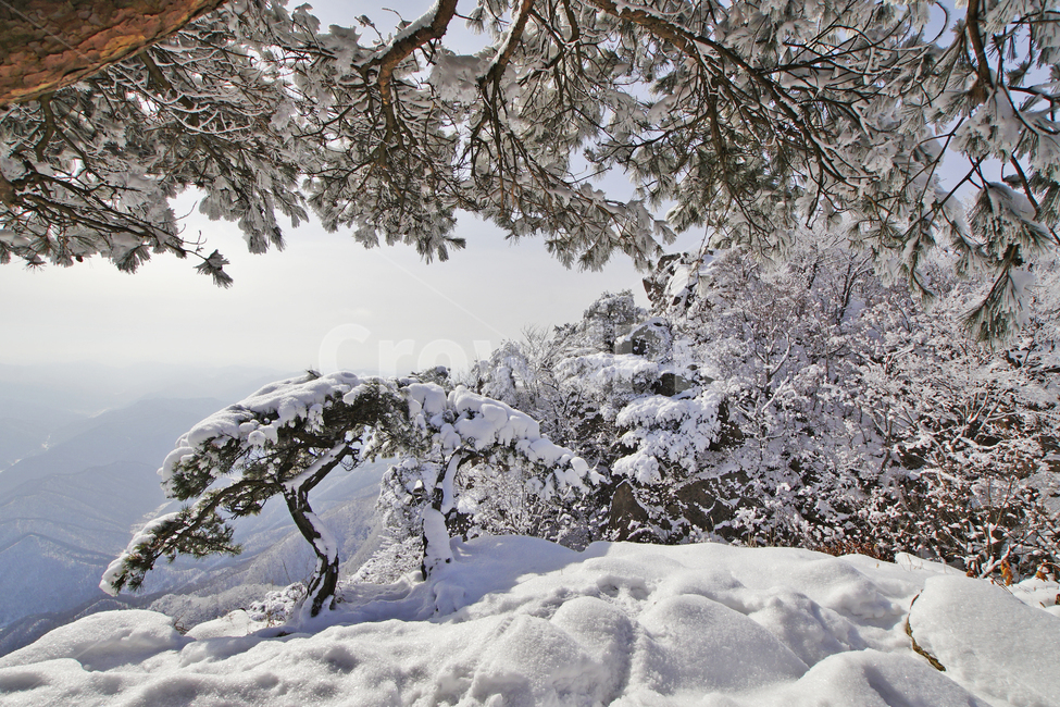 대둔산,설경,겨울,풍경,전라북도,완주,겨울,계절,winter,season,자연,풍경,nature,landscape,한국자연풍경,한국자연경관,korea nature landscape,storm,폭풍,outdoors,옥외,snow,눈,blizzard,눈보라