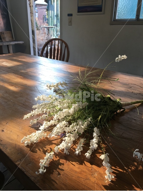 wood,나무,hardwood,견목,바닥,furniture,가구,chair,꽃,flower,꽃,flower