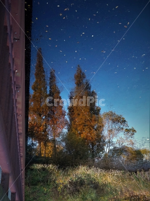 가을,늦가을,연못,반영,자연,autumn,landscape,pond,reflection,blue,water,plant,나무,가을,계절,fall,autumn,season,nature,outdoors,옥외,식물,tree