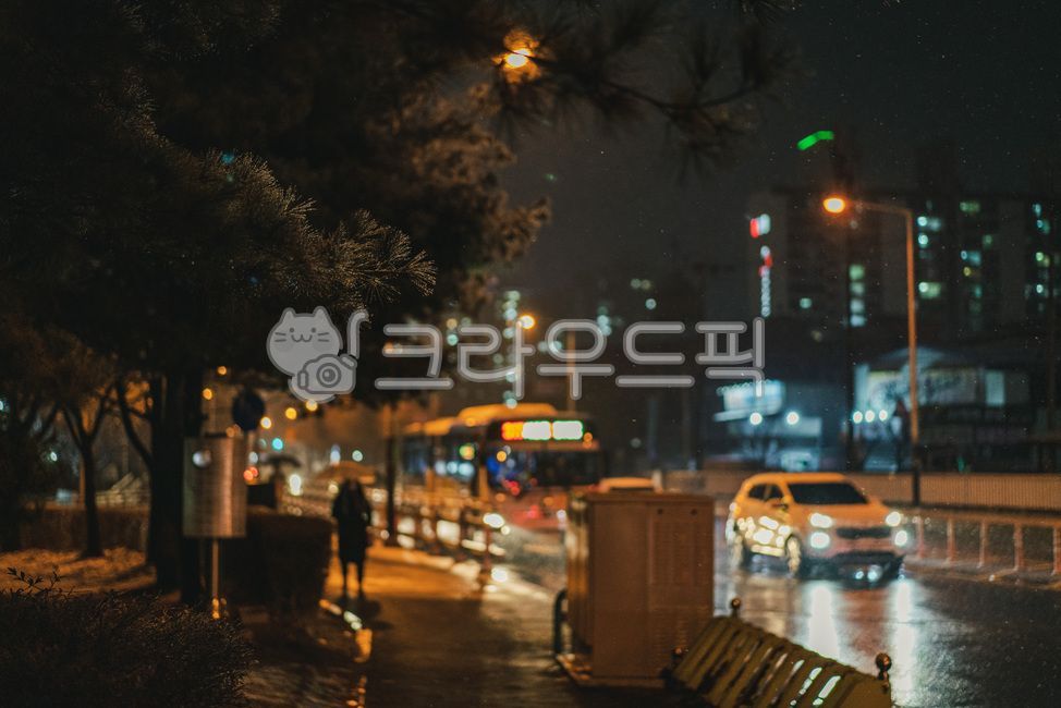 snowy night,winter,snowy street,rainy street,winter street,vehicle,automobile,path,car,season,human,snowy,passageway,city night view,winter street light,winter road,transportation,street light,person,humans