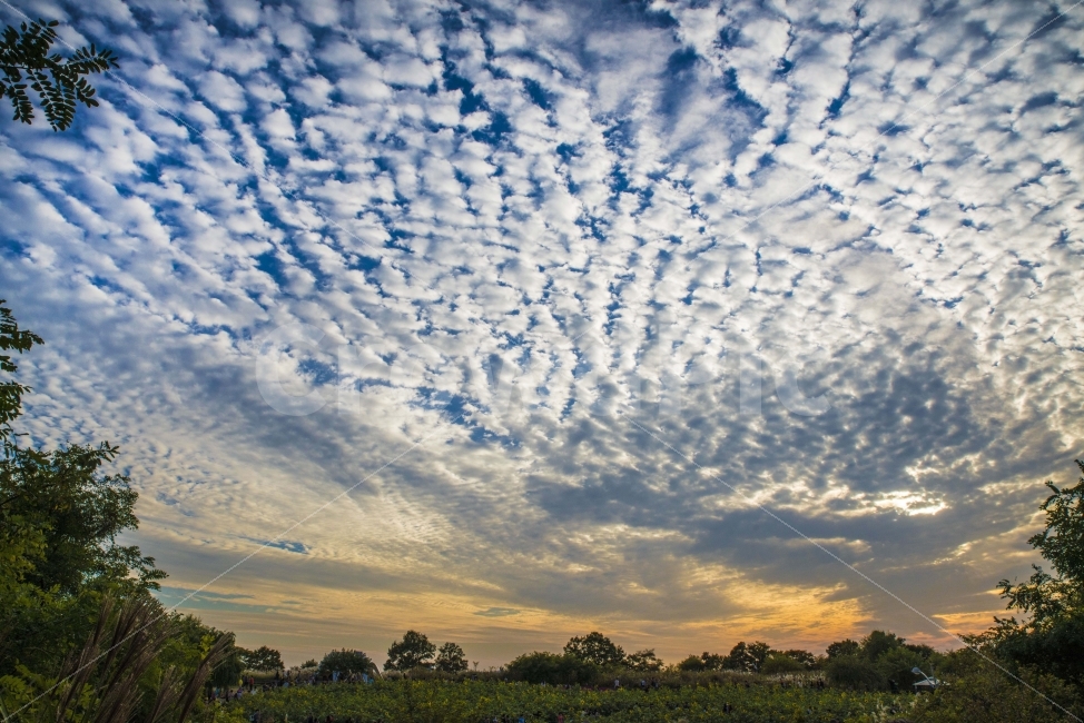 풍경,하늘,가을하늘,노을,저녁,자연,풍경,nature,landscape