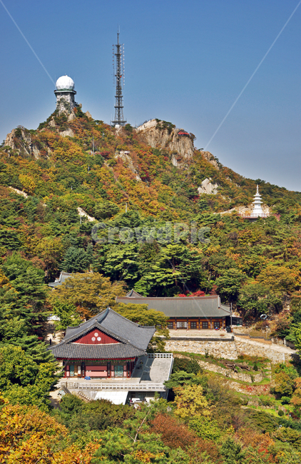 연주암,불교사찰,관악산,과천,사찰,가을,계절