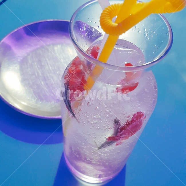 칵테일,꽃,술,알콜,바,분위기,감성