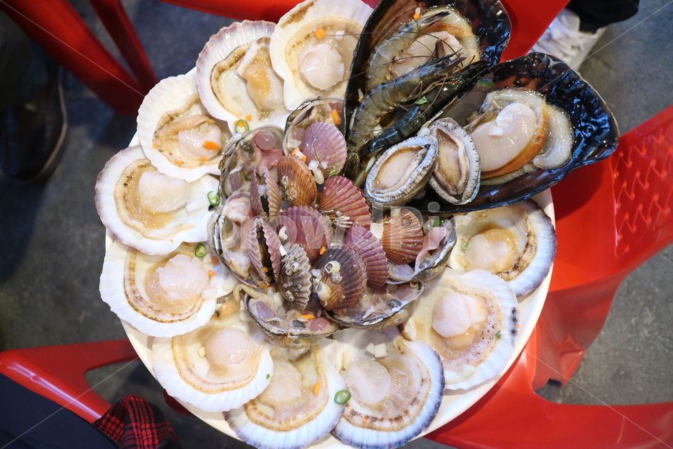 울산,조개구이,해산물,해산물구이,치즈구이,가리비,술안주,해양생물,대합,seashell,sealife,조개,clam