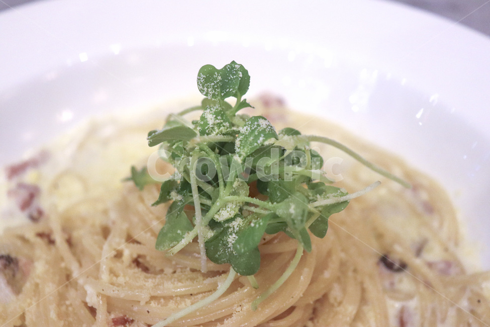 까르보나라,스파게티,파스타,carbonara,spaghetti,pasta,이탈리아요리,면요리,이탈리안요리,noodle
