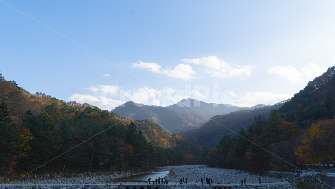 가을,가을산,가을풍경,mountainrange,산맥,mountain,전나무,나무,tree,자연,nature,식물,자연,풍경,nature,landscape