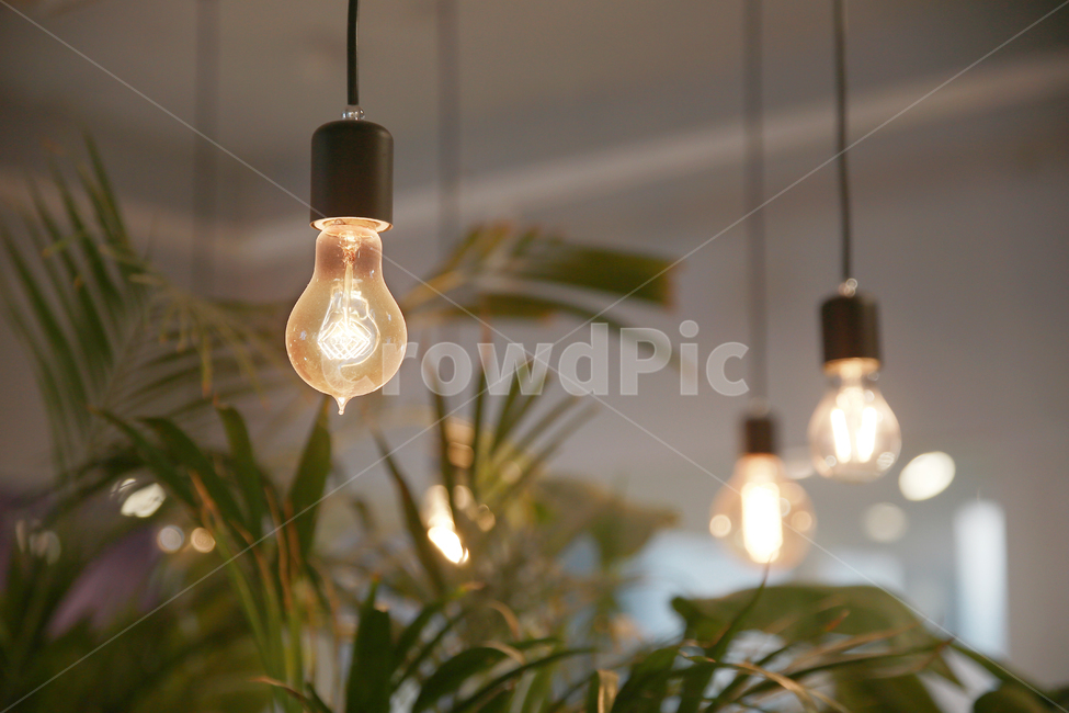 incandescent light,atmosphere,bulb,objects,interior,interior design,light,incandescent light bulb,prop,design,fire,Emotion,object