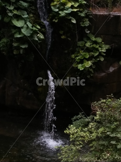 폭포,숲,나무,계곡,물,자연,풍경,nature,landscape,river,강,water,outdoors,옥외,waterfall