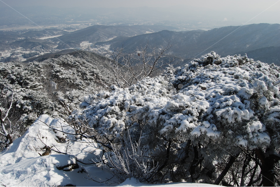 청계산,100대명산,매봉,설원,등산로,능선,치유,여행,돌,산행,힐링,자연,동행,등산,계절,한국,한국명산,한국등산,풍경,나무,하늘,겨울,계절,winter,season,자연,풍경,nature,landscape,한국자연풍경,한국자연경관,korea nature landscape,outdoors,옥외,ice,빙