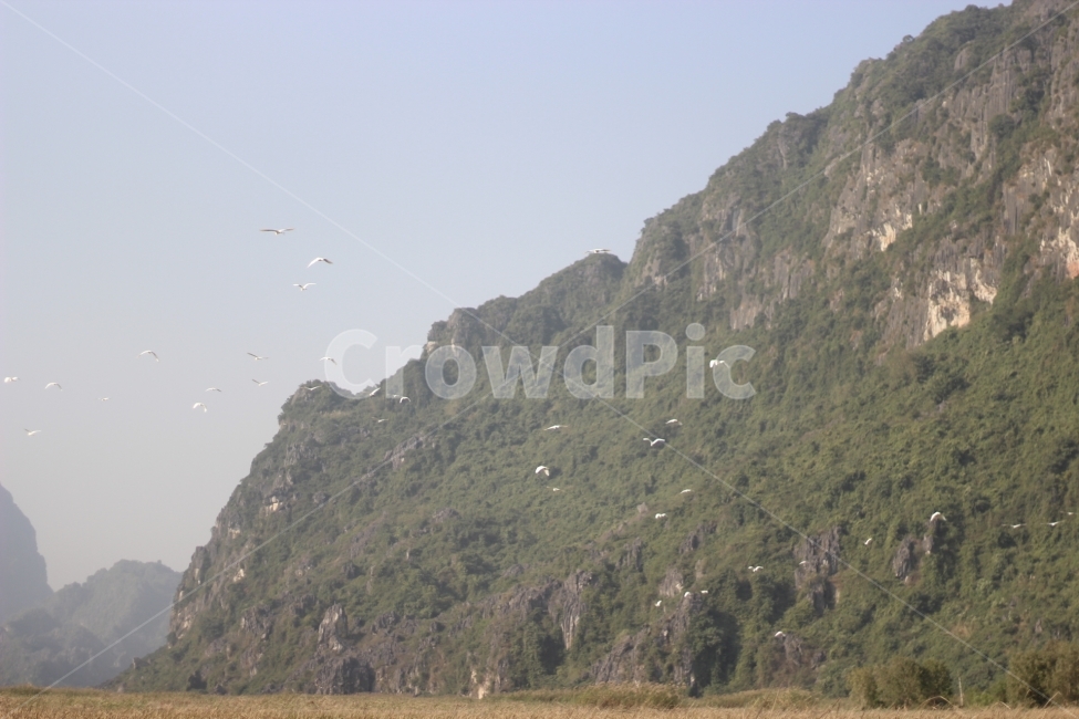 베트남,하노이,하롱베이,자연,강,자연,풍경,nature,landscape,slope,경사,outdoors,옥외