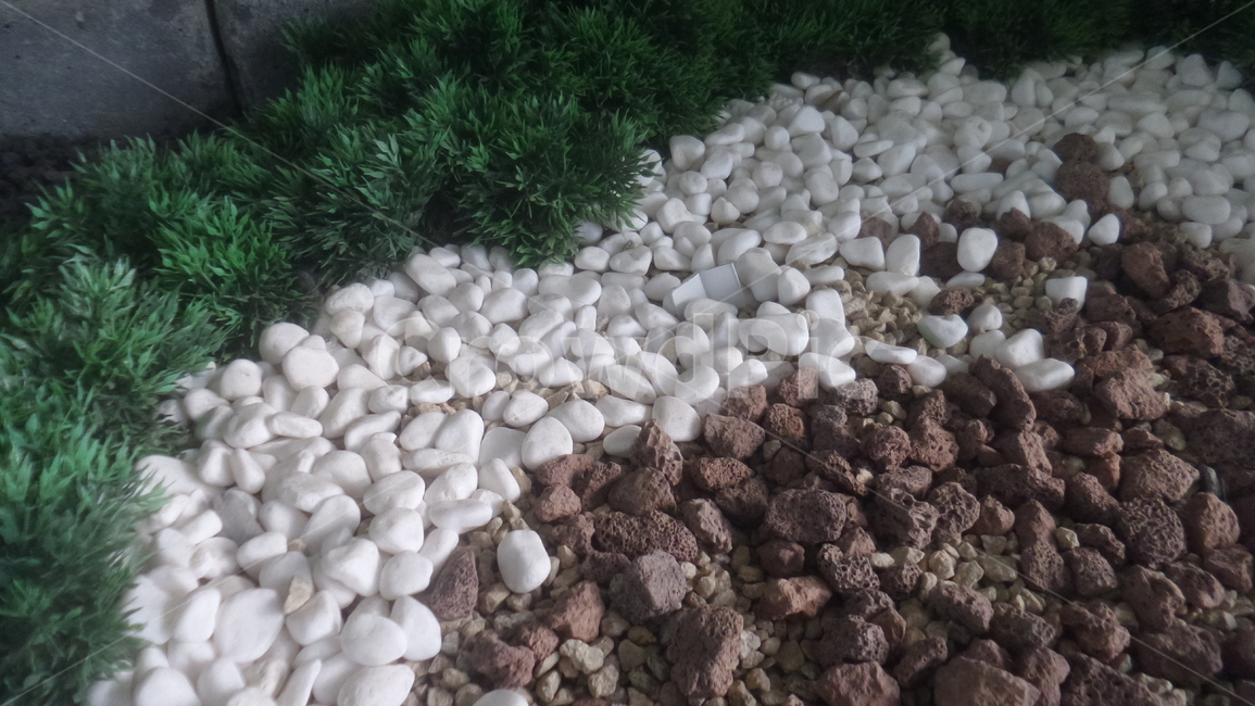 조약돌,흰돌,자갈,pebble,돌멩이