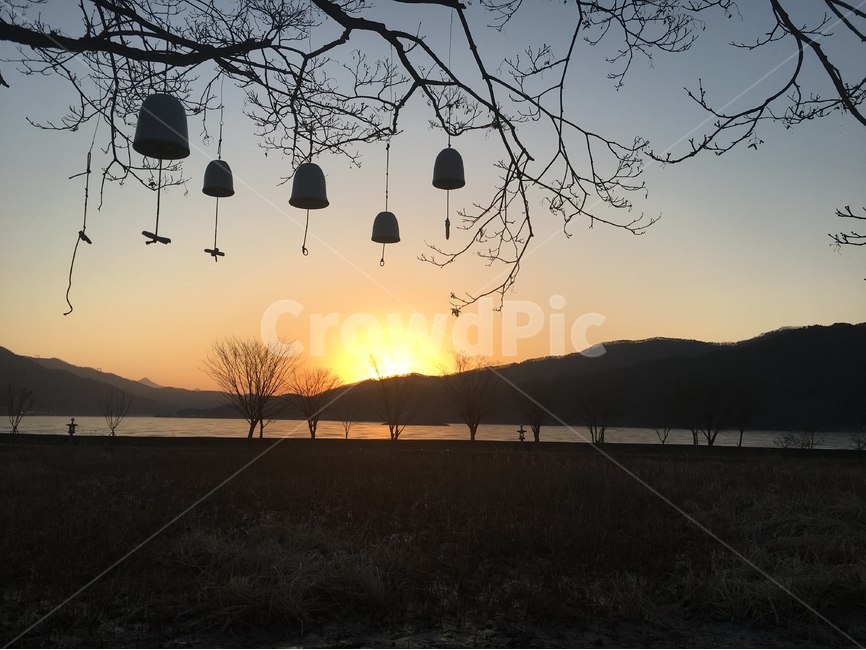 일출,풍경,새벽,나무,가지,고요,카페,커피,자연,풍경,nature,landscape,flare,플레어,light,빛,sunlight,햇빛,outdoors,옥외
