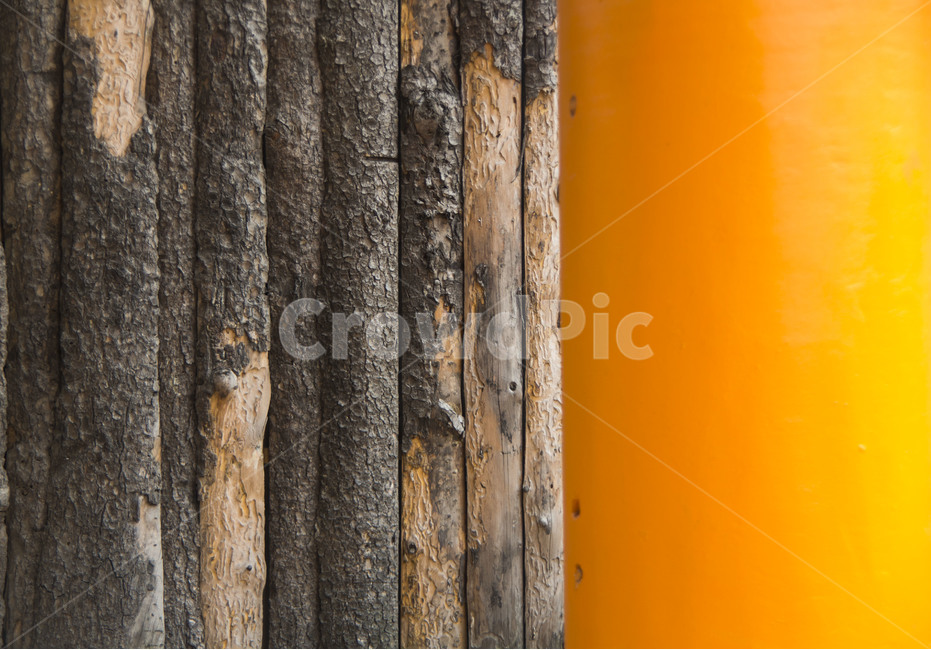 패턴,문양,무늬,통나무,나뭇결,텍스처,질감,패턴,texture,pattern