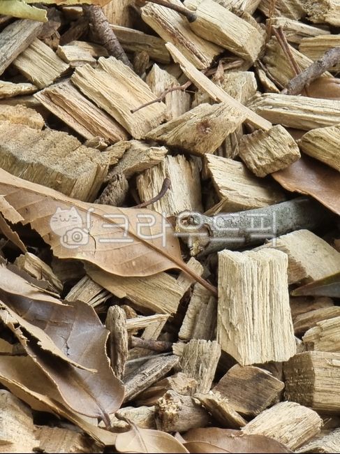 wood,목재,나뭇잎,나뭇가지,나무조각