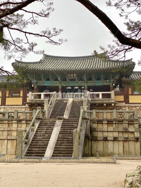 불국사,불교,관광,경주,한국관광,한국전통,전통,문화유산,대한민국,절,랜드마크,한국랜드마크,korea,bulguksa,cultures,korealandmark,한국전통,한국문화,korean traditional,korean culture,건축물,건물외관,exterior,building,structure,architecture,construction
