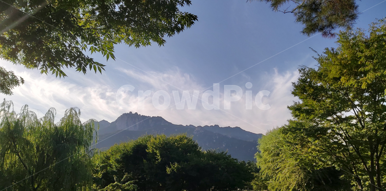 서울창포원,도봉산,산,나무,하늘,구름,자연,changpowon,dobongsan,mountain,trees,sky,clouds,nature,자연,풍경,nature,landscape,나무,trees,wood,outdoors,옥외,tree,plant,식물