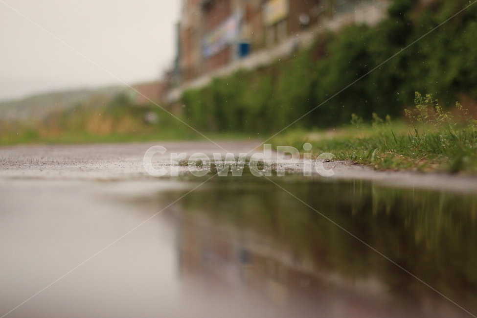 웅덩이,비,물,길,풀,담,wall,water,rain,street,puddle,빗방울,raindrop