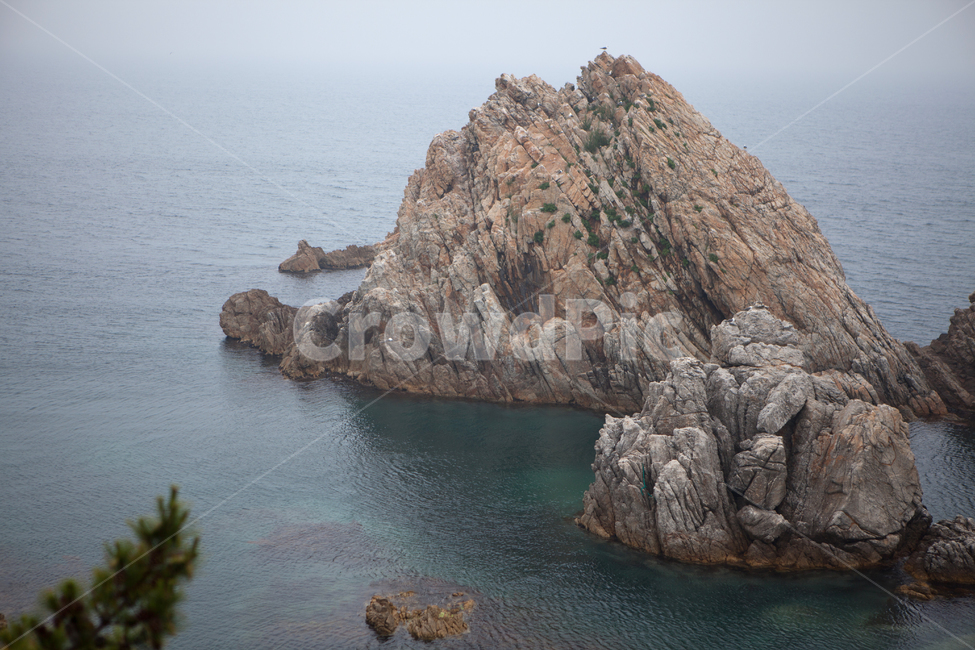 wave,nature,자연,outdoors,water,해안선,shoreline,ocean,sea,바다,암초,동해,삼척,장호항,바위,돌,rock