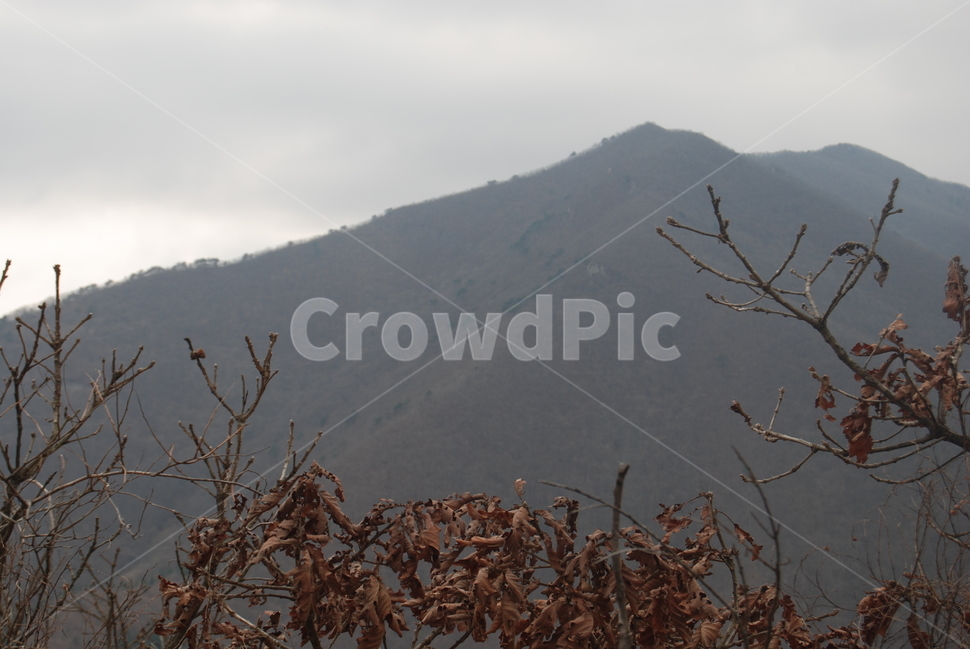 안개,fog,등산로,hikingtrail,봄,자연,풍경,nature,landscape,outdoors,옥외,mountain range,산맥,mountain,산
