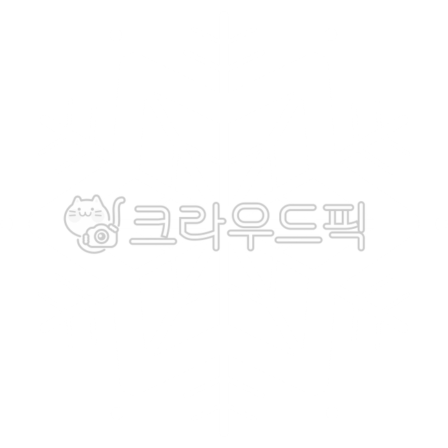 크리스마스,메리크리스마스,장식,소품,데코,png,snowflake,눈송이,눈,스노우,겨울,윈터,연말