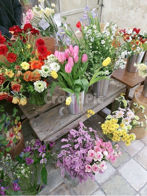 plant,식물,꽃,꽃꽂이,꽃부케