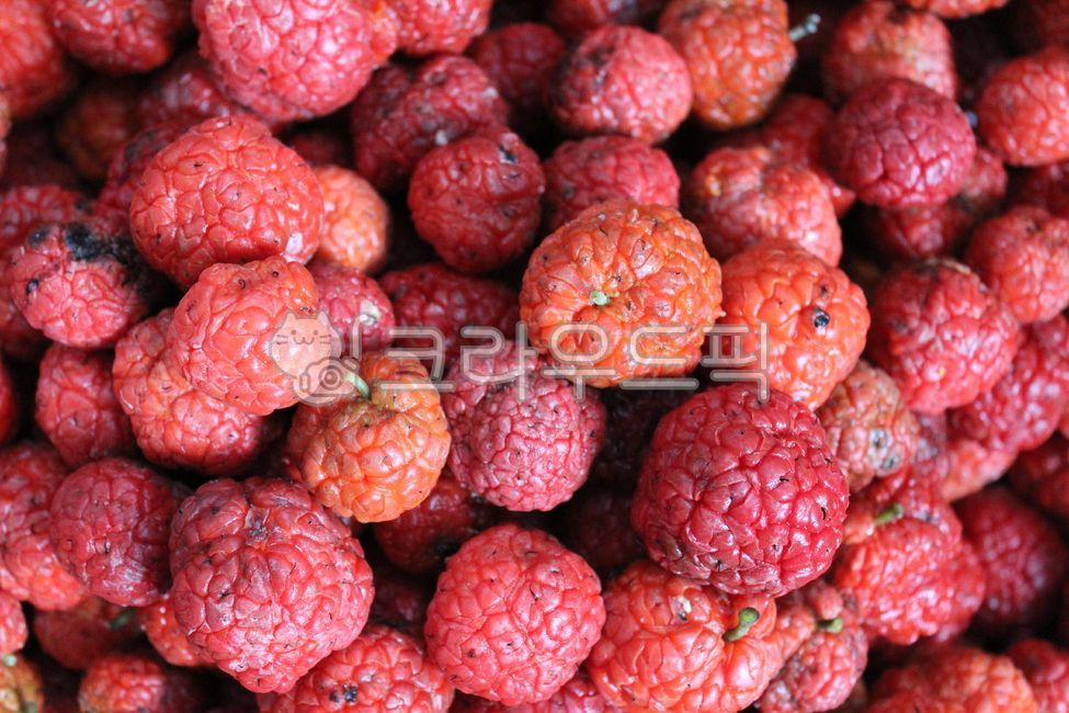 Gujppong,Fruit,fruit,Kujippong,Gujippong fruit