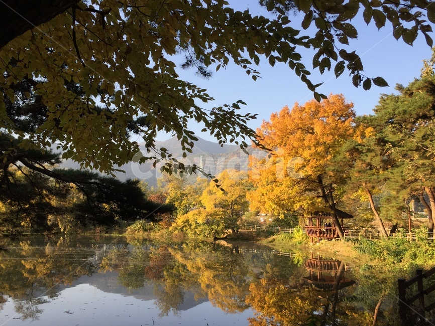 water,물,nature,자연,outdoors,tree,나무,plant,식물,가을,fall,lake,호수,가을,계절,fall,autumn,season,자연,풍경,nature,landscape,옥외,land,땅