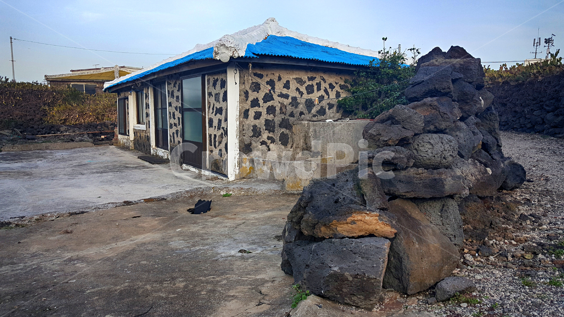돌담,제주,nature,자연,outdoors,옥외