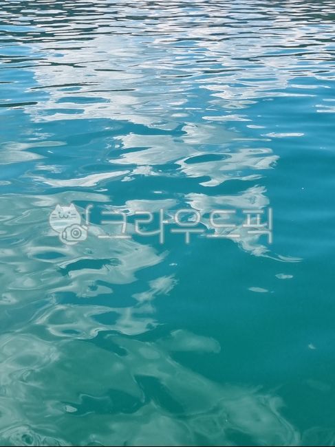 호수,물,강물,자연,숲,water