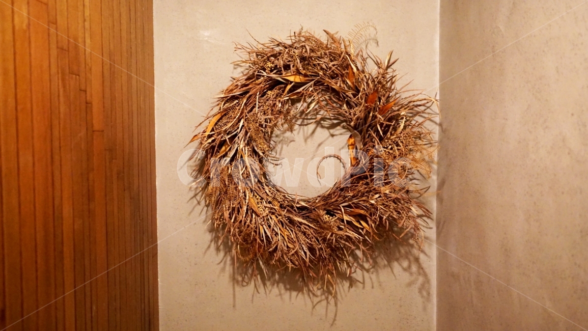 드라이플라워,꽃,인테리어,빈티지,데코,벽,실내디자인,식물,자연,cafe,가정집,식물,자연,plants,nature,인테리어,실내디자인,interior design