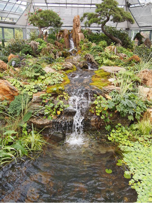 개울,시내,물,정원,작은정원,돌,식물,자연,plants,nature