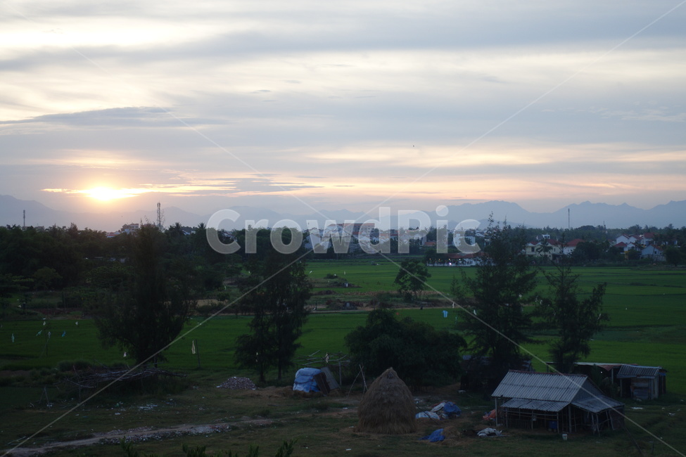 노을,저녁,자연,논,밭,시골,시골,마을,풍경,landscape,country,rural,town