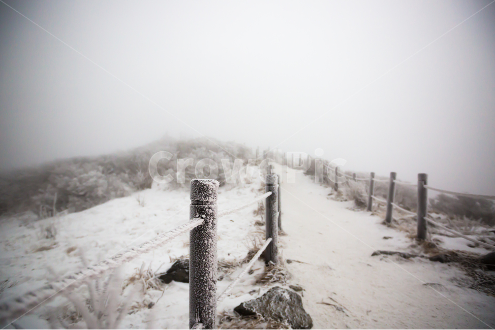 자연,풍경,겨울,눈,산,길,덕유산,겨울,계절,winter,season,자연,풍경,nature,landscape,outdoors,옥외