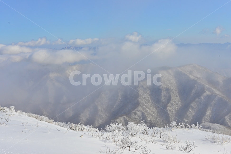 전북,무주,설천봉,상고대,상제루,mountainrange,산맥,winter,겨울,blizzard,눈보라,storm,폭풍,nature,자연,outdoors,옥외,ice,빙,snow,눈,mountain,산,향적봉,겨울,계절,winter,season,자연,풍경,nature,landscape