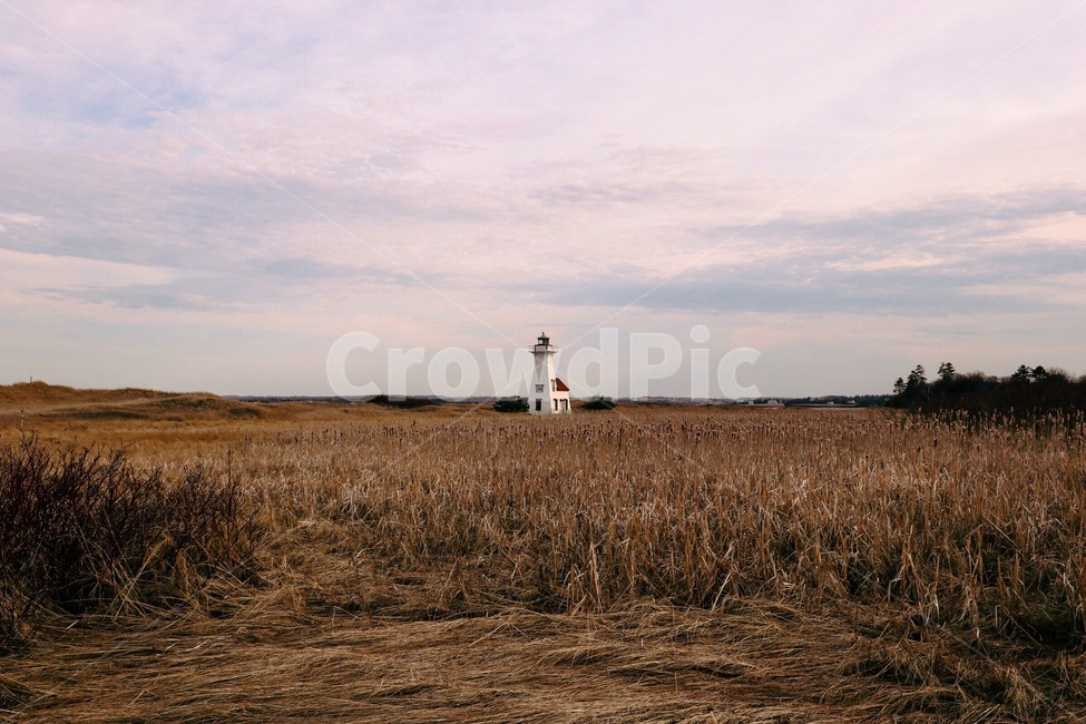 building,건물,architecture,건축물,tower,탑,lighthouse,lighthouse,등대,canada,캐나다,pei,프린스에드워드아일랜드,island,섬,고향,시골,hometown,rural,빨강머리앤,anne,annewithe,view,landscape,배경,풍경,background,황금들판,golden,gold,field,이국적인,exotic
