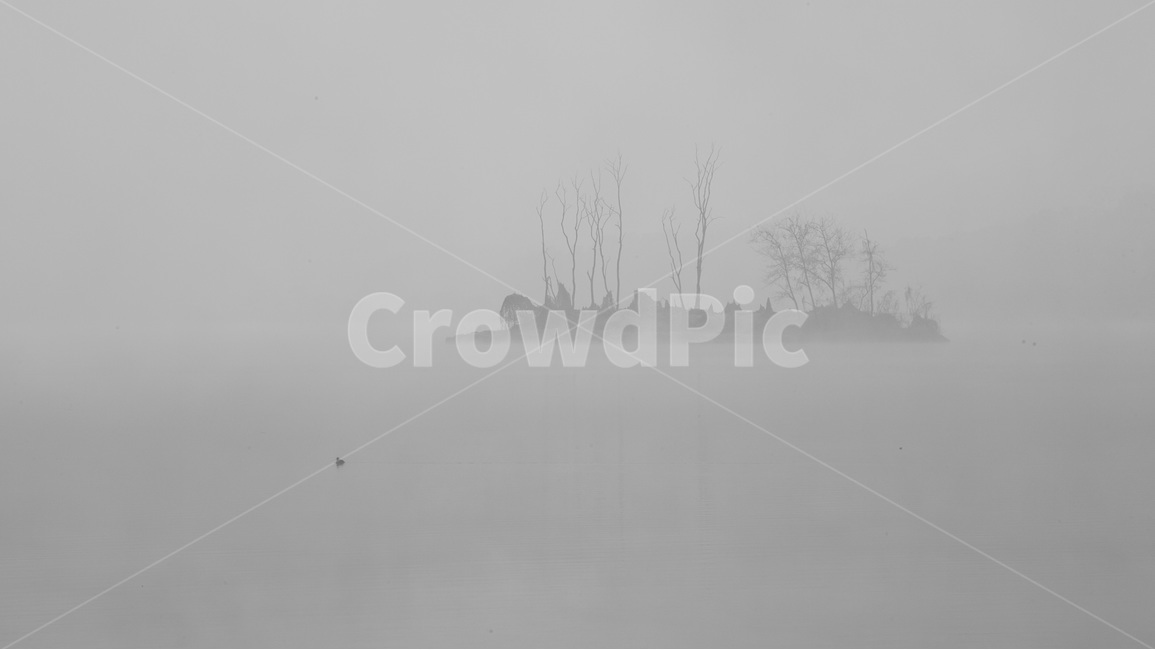 두물머리,아침,여명,호수,반영,자연,싱그러움,자연,풍경,nature,landscape,한국자연풍경,한국자연경관,korea nature landscape,흑백,모노톤,monochrome,black and white,weather,날씨,outdoors,옥외