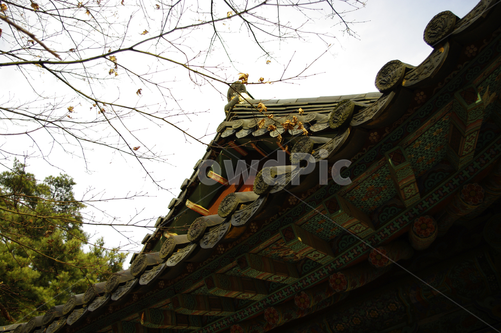 처마,풍경,단청,한국,전통,한국전통,한국문화,korean traditional,korean culture,건축물,건물외관,exterior,building,structure,architecture,construction