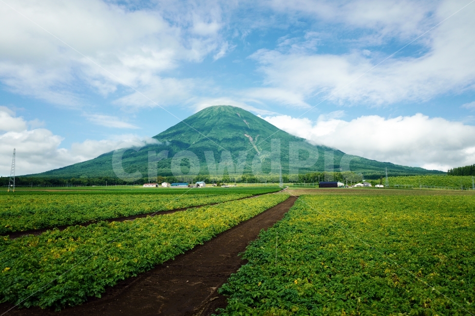 산,하늘,농작물,길,시골풍경,여행,자연,풍경,nature,landscape,시골,마을,country,rural,town,해외,외국,세계,foreign,oversea,world,세계자연풍경,해외자연풍경,외국자연풍경,world nature landscape,outdoors,옥외,hill,언덕