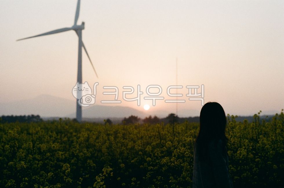 감성사진, background, 배경, 여성, 뒷모습, 사진,이미지,일러스트,캘리그라피 - Ace Flim작가