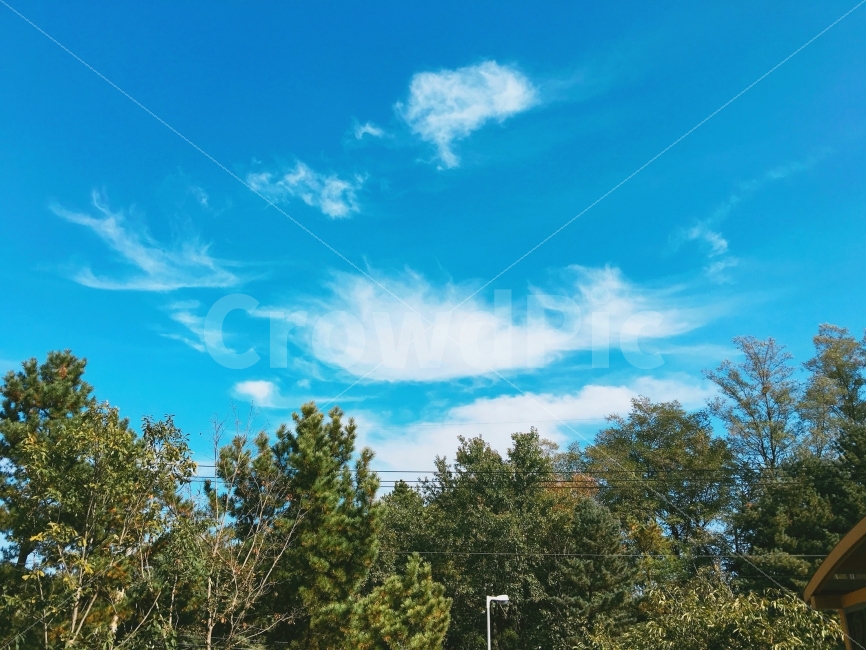 하늘,구름,나무,풍경,일상,따뜻함,가을,자연,풍경,nature,landscape,outdoors,옥외
