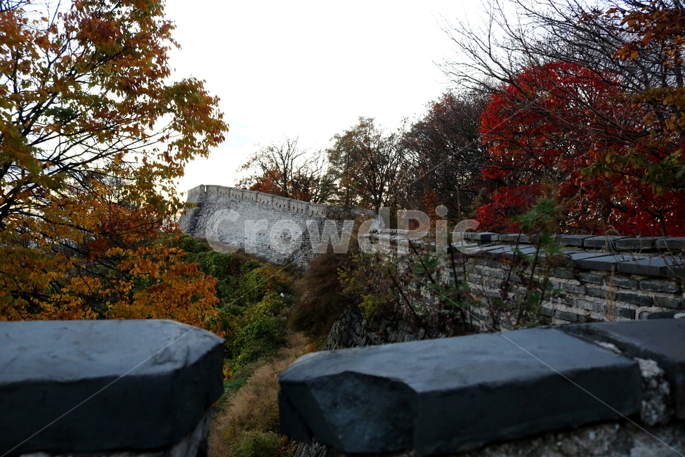남한산성,산성,성벽,자연,풍경,산,가을,단풍,나무,공원,가을,계절,fall,autumn,season,한국전통,한국문화,korean traditional,korean culture,건축물,건물외관,exterior,building,structure,architecture,construction,tree,plant,식물