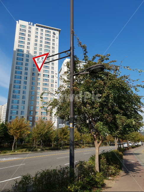 가을하늘,교통표지판,양보,도로,거리,아팥,표지판,도시,풍경,city,landscape