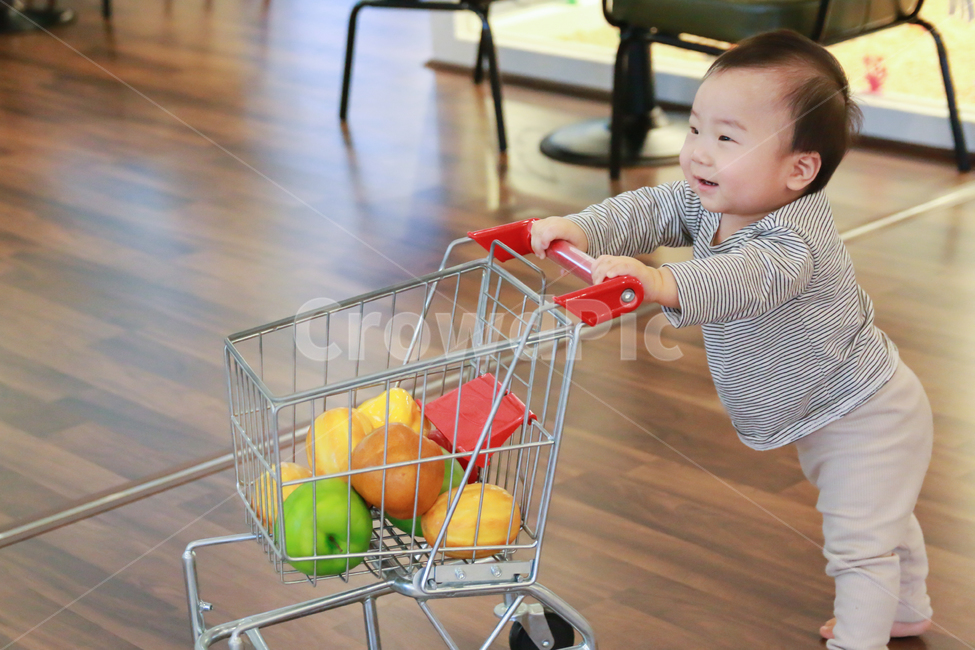 아기,아이,쇼핑카트,장난감,걸음마,신난,재미,토이,육아,남자아이,남자아기,11개월,1살,인물,모델,귀여운,작은,사랑스러운,걷기,개구쟁이,장난꾸러기,건강한,튼튼한,가족,행복한,즐거운,얼굴,표정,카트,쇼핑,장바구니,장보기,장보기놀이,놀이,아들,사람,인물,인간,human,person,영유아,아기,애기,아이,infants,baby