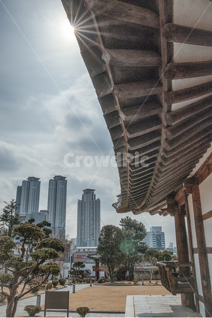 향교,전통,문화재,단청,빌딩,도심속,울산,도시,풍경,city,landscape,한국도시풍경,한국도시경관,korea cityscape,한국전통,한국문화,korean traditional,korean culture,건축물,건물외관,exterior,building,structure,architecture,construction,urban,어반,시티,metropolis,중심지,건물,town
