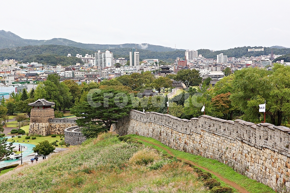 수원화성,성,성곽,길,둘레길,돌담,담,가을,자연,풍경,벽,방어벽,전통,흙담,식물,나무,산성,한국전통,한국문화,korean traditional,korean culture