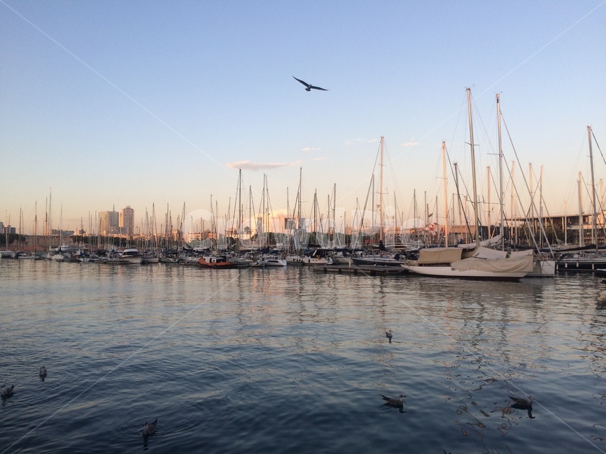 바다,요트,해변,노을,yacht